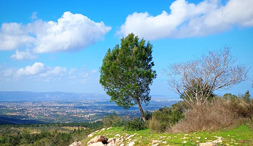  | موسوعة القرى الفلسطينية